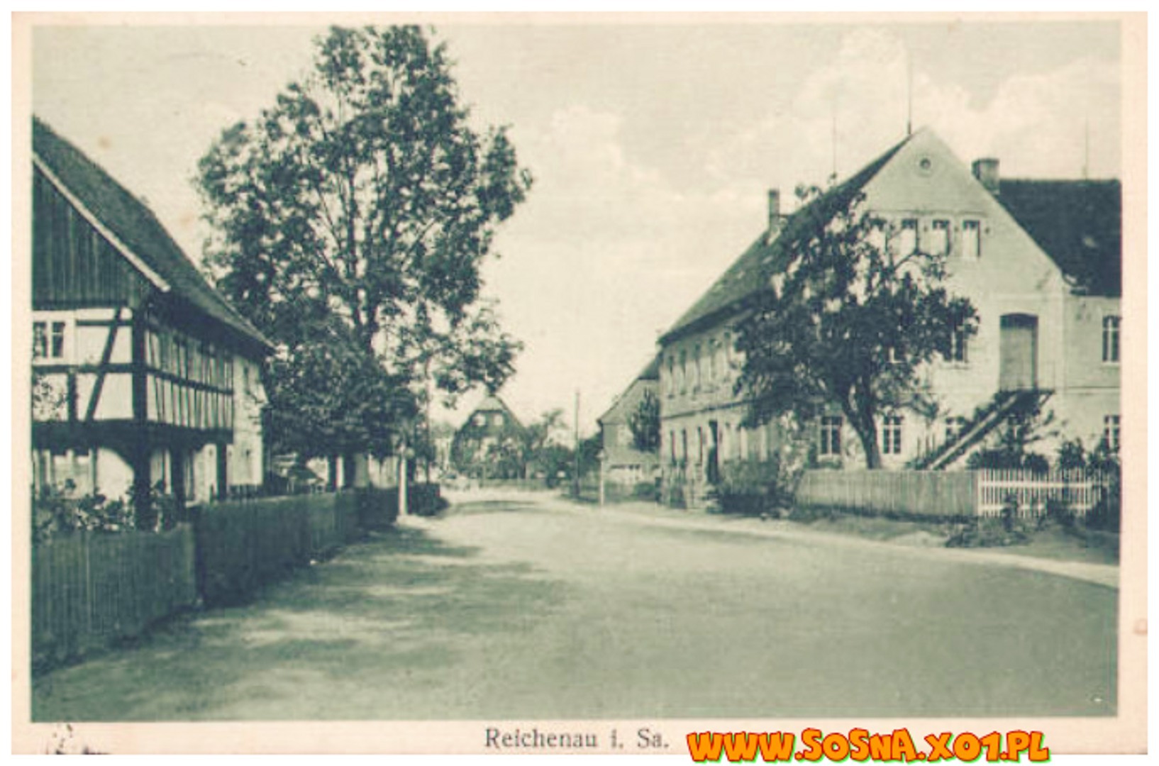 boga171