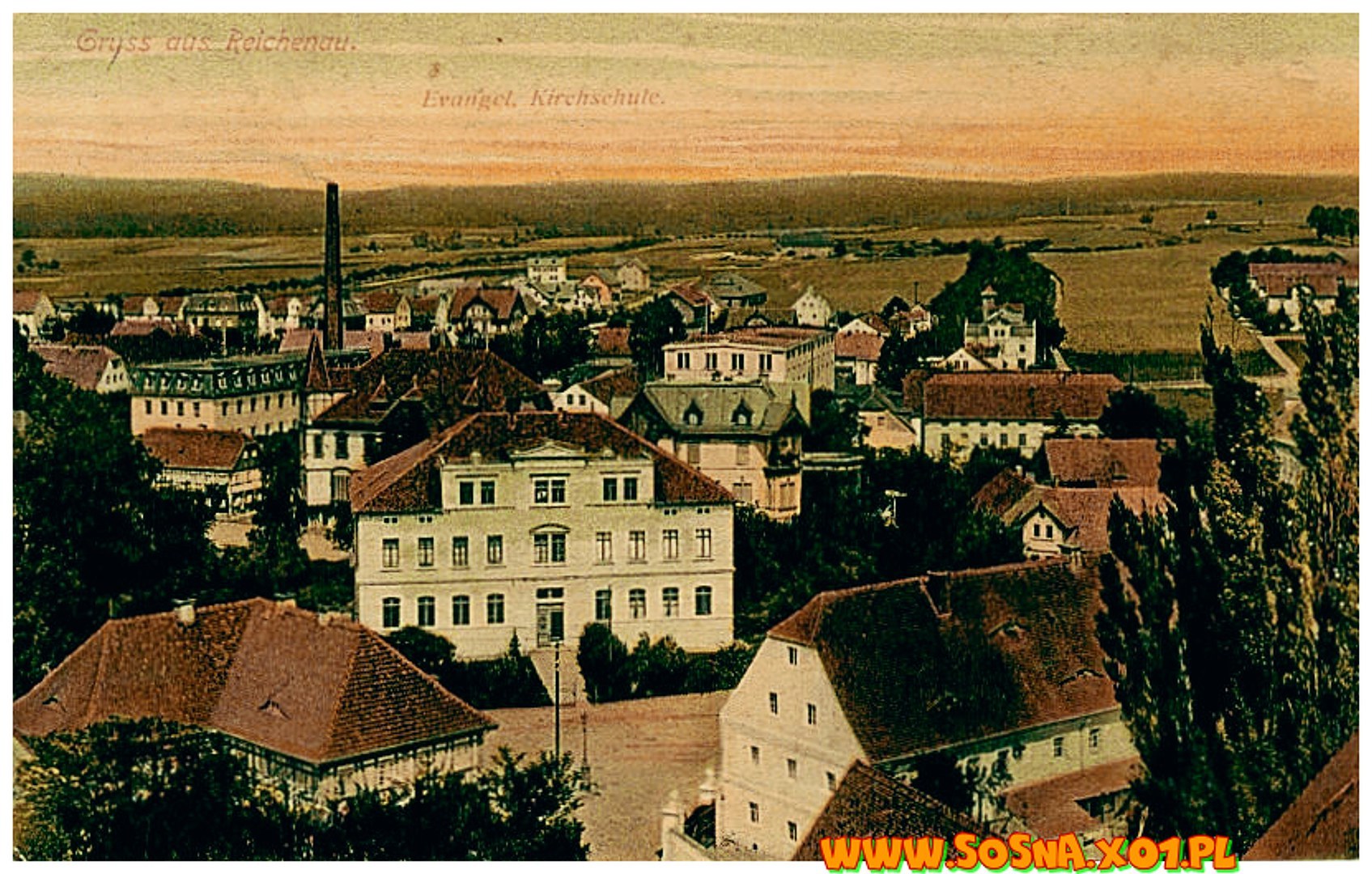 boga19