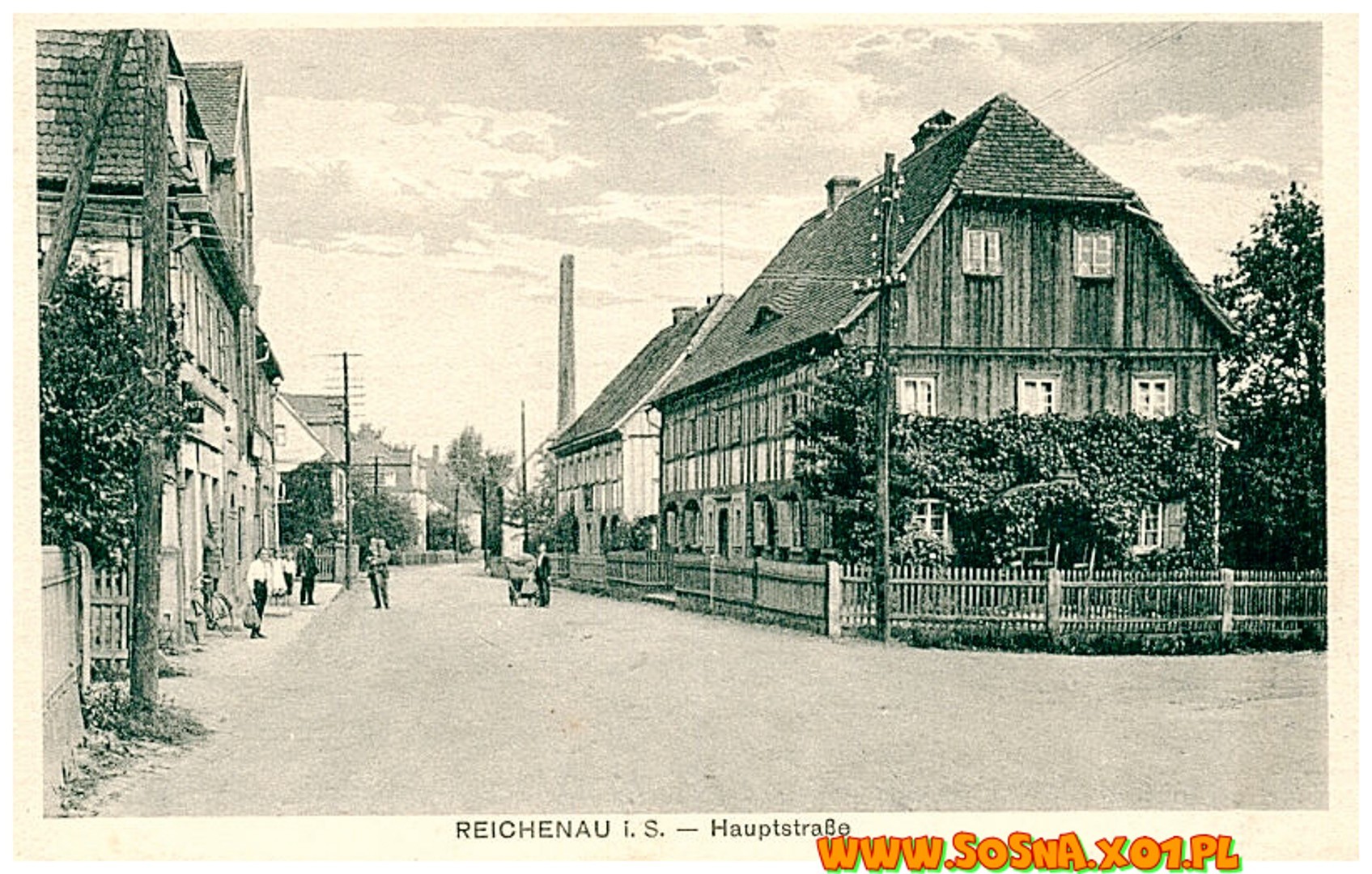 boga43