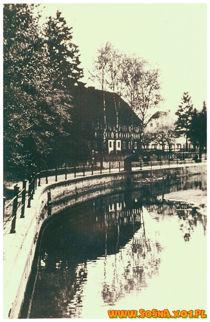 boga54