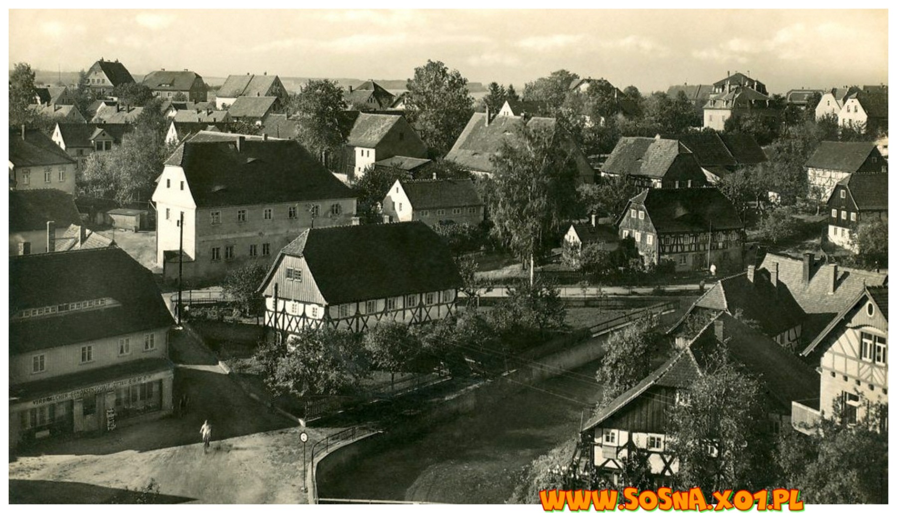 boga86