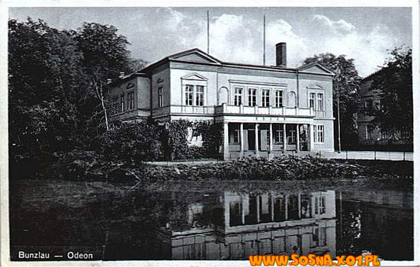 bole15
