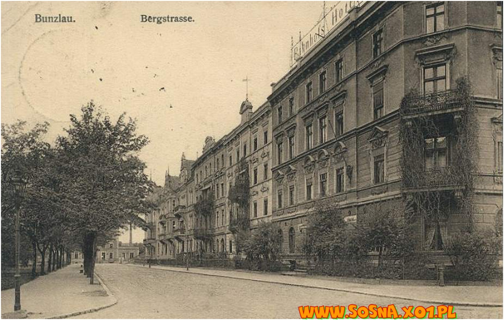 bole31