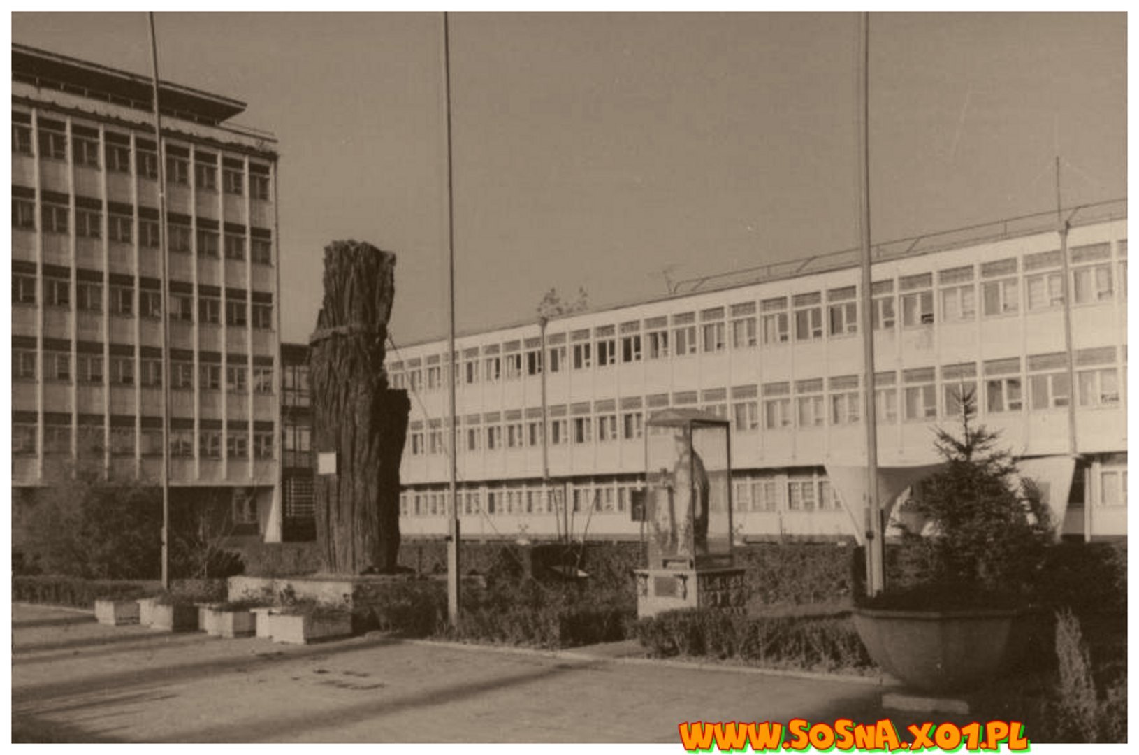 kopa25