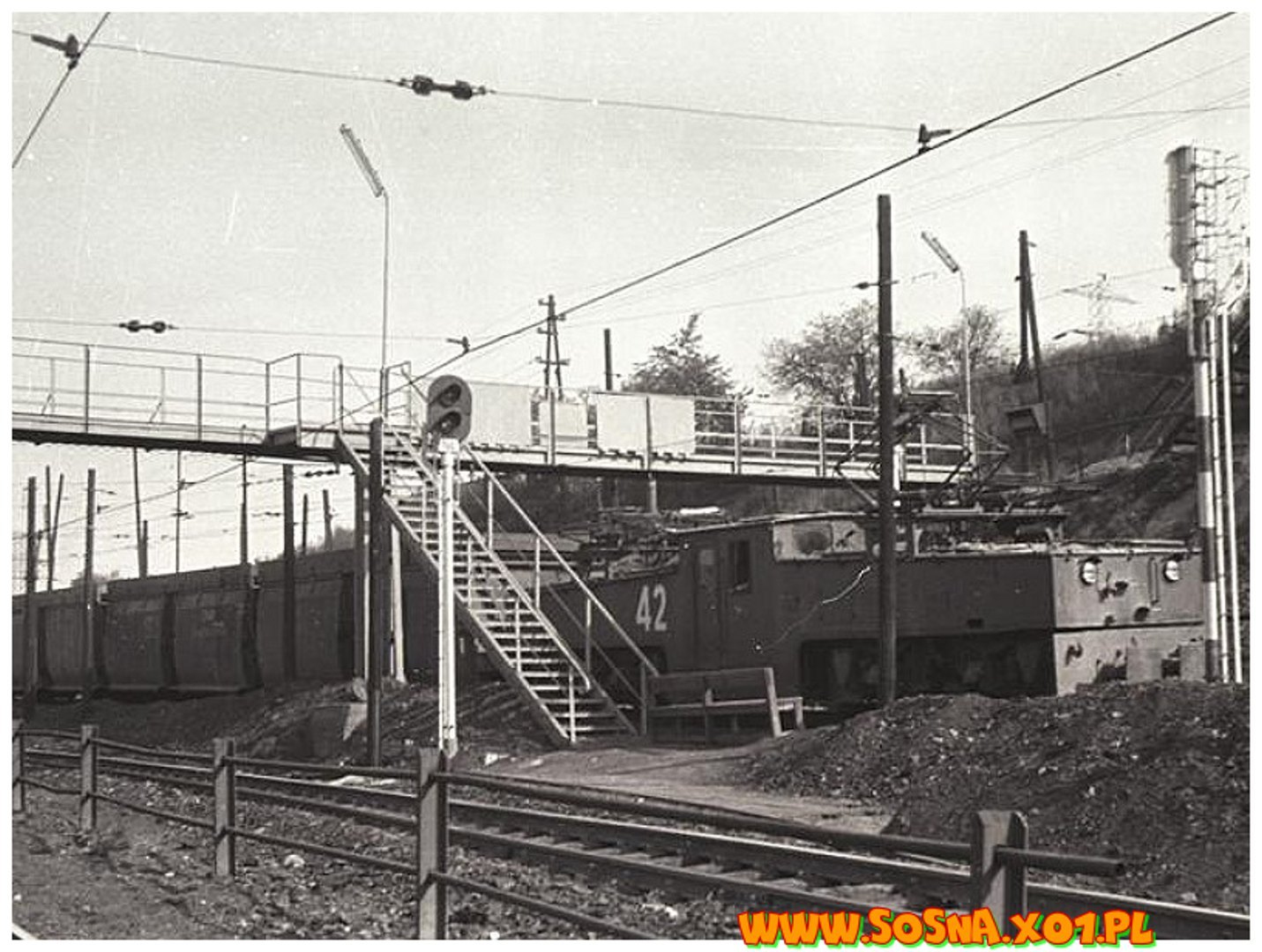 kopa50