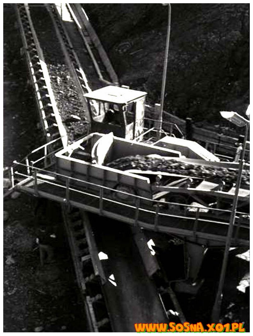 kopa8