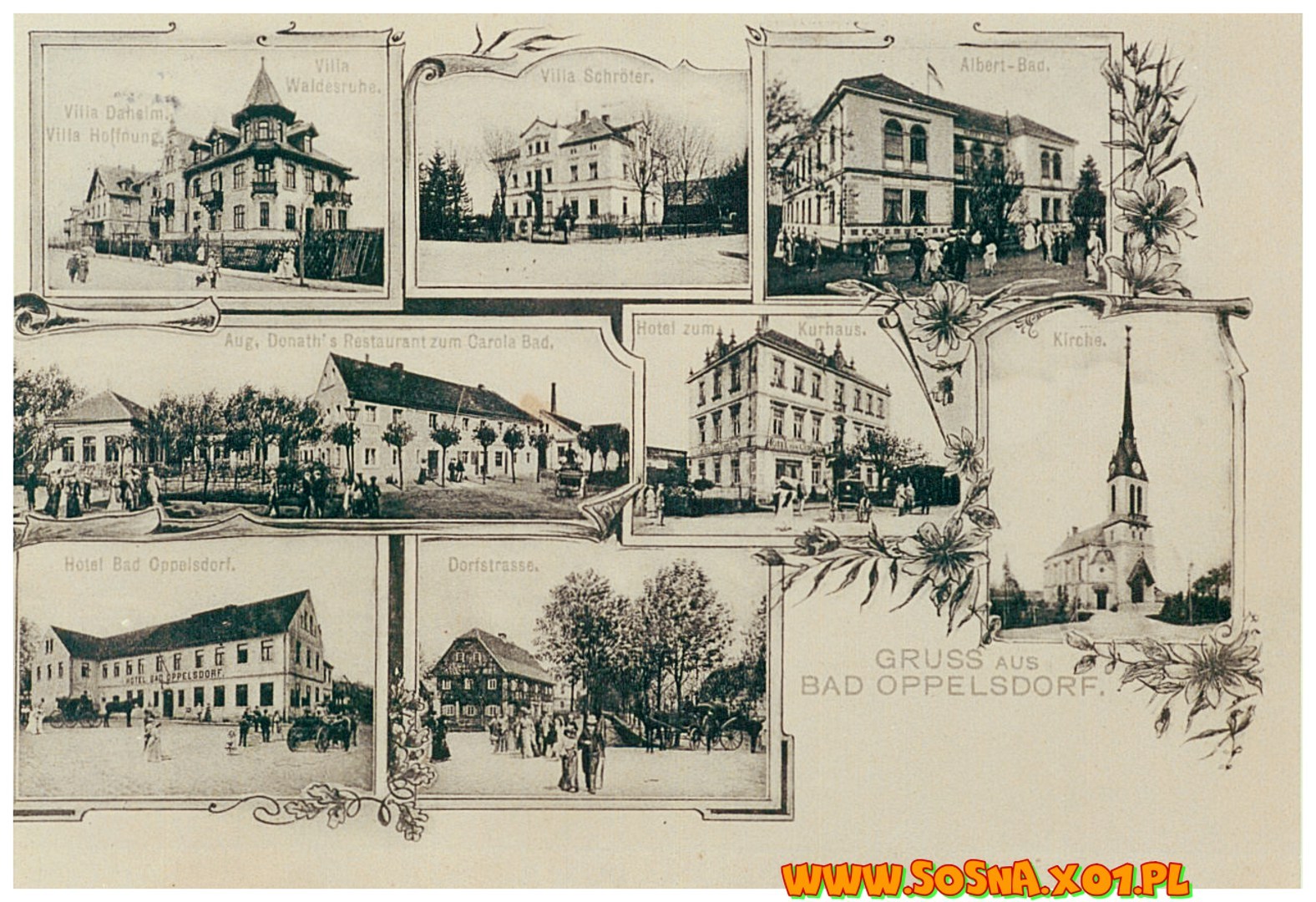 opol10