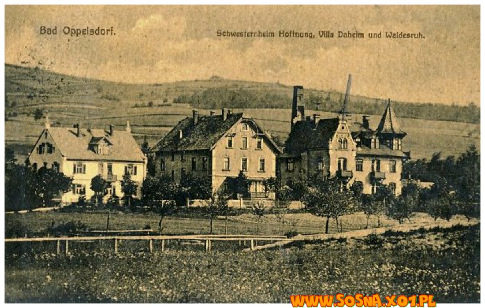 opol100
