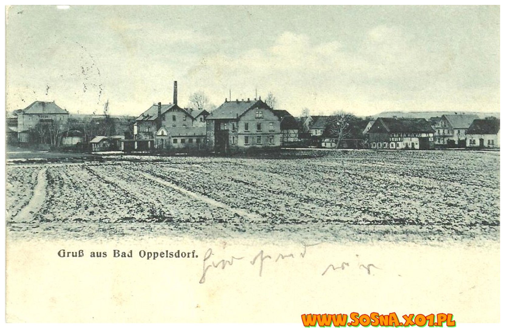 opol102