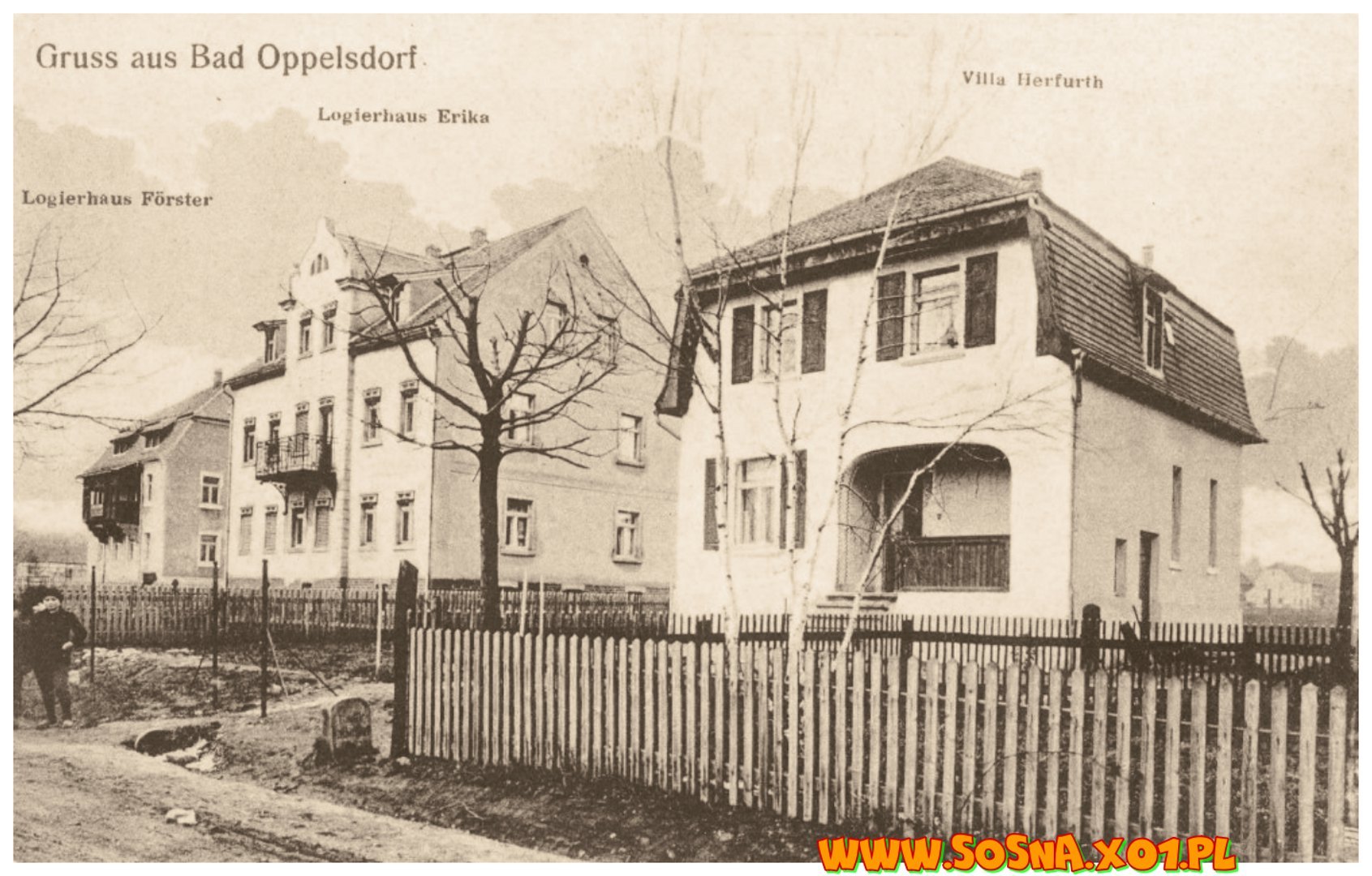 opol116