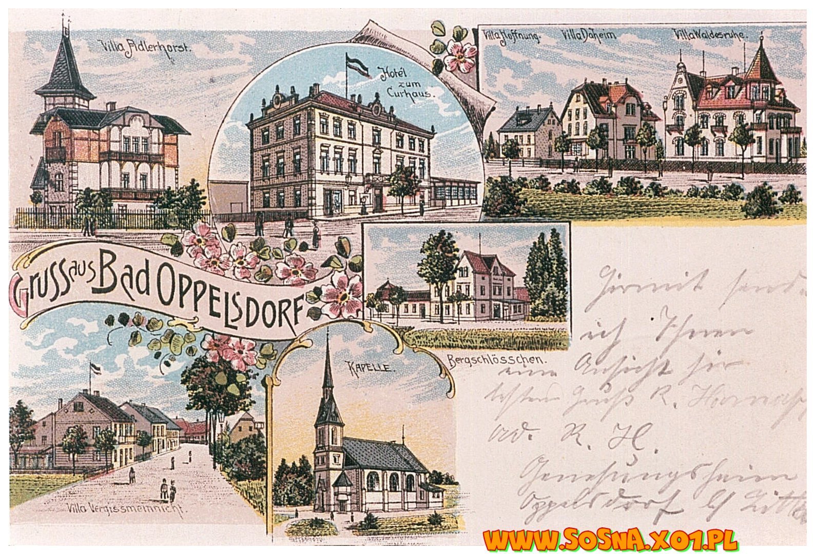 opol12