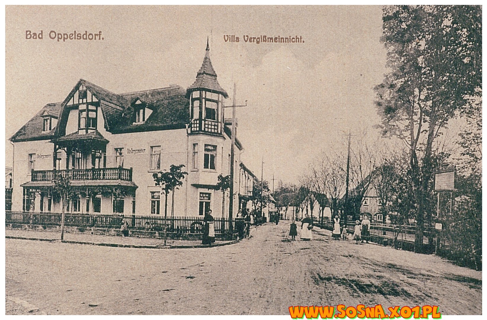 opol15