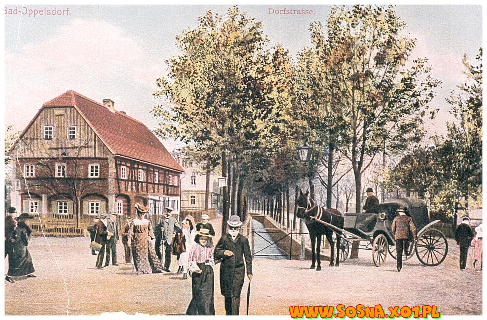 opol16