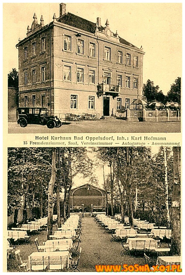 opol17