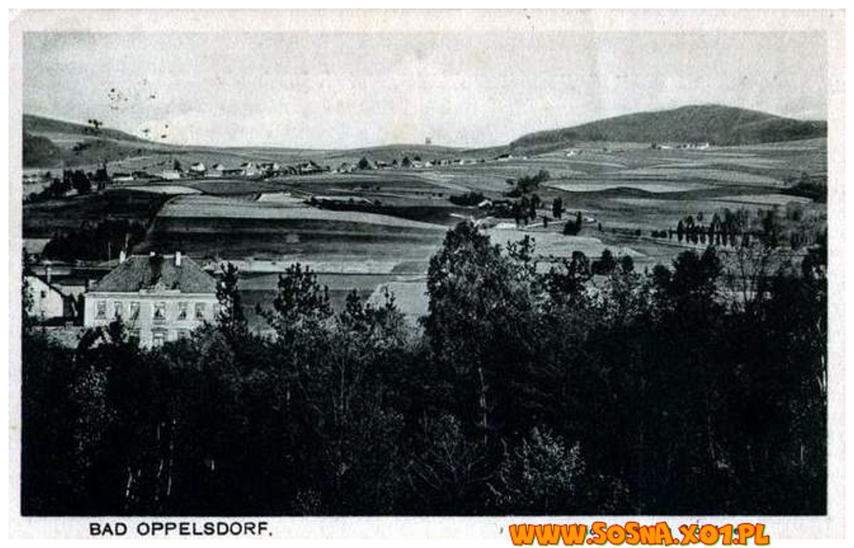 opol18