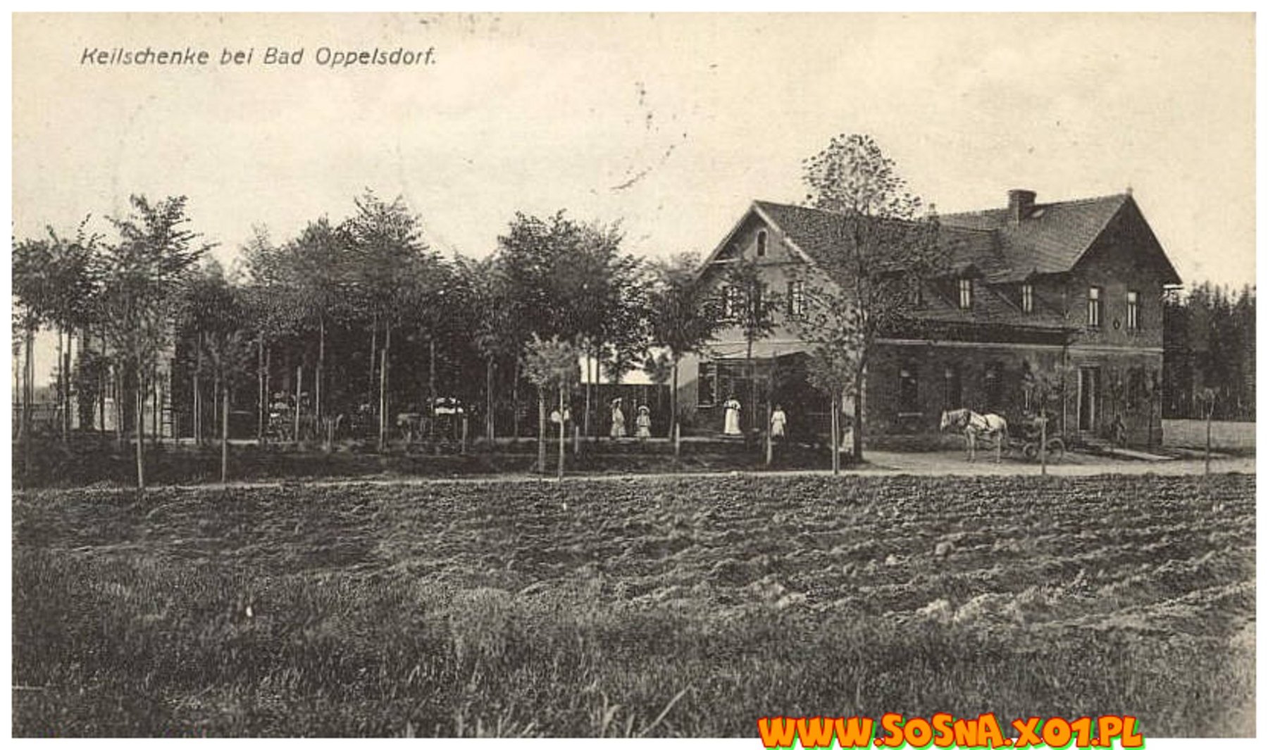 opol21