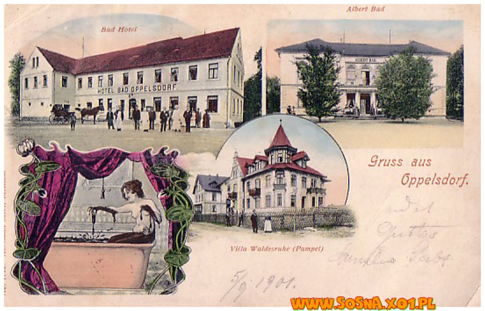 opol24