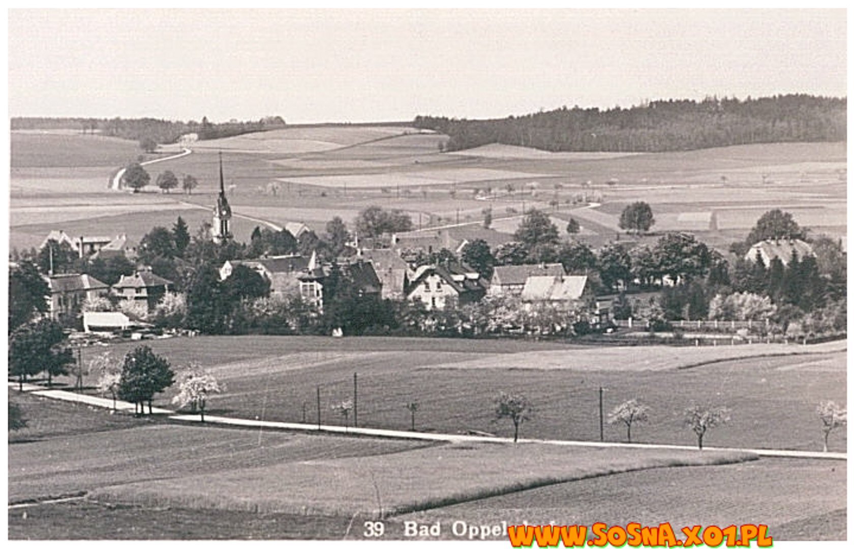 opol36