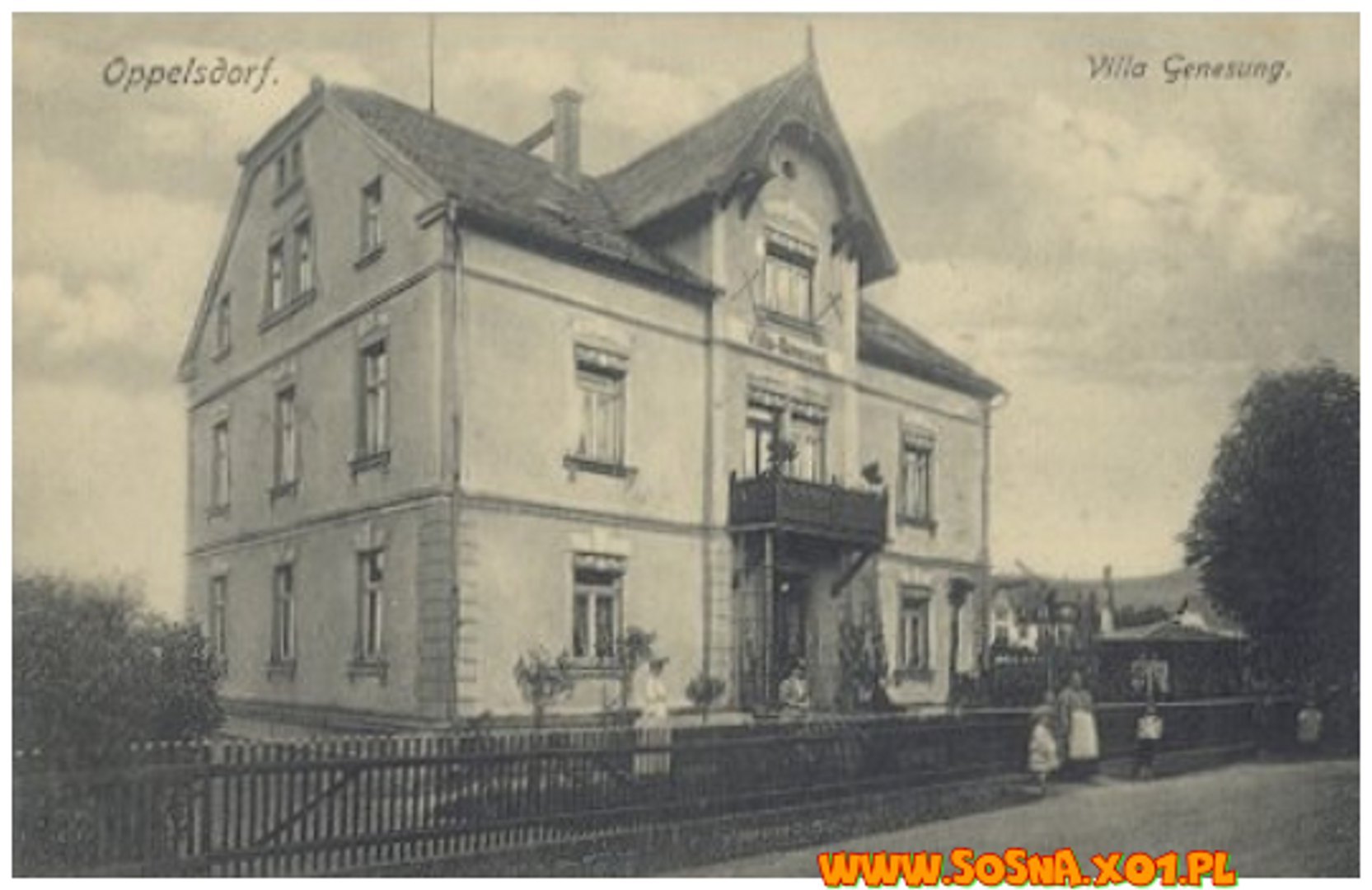 opol38