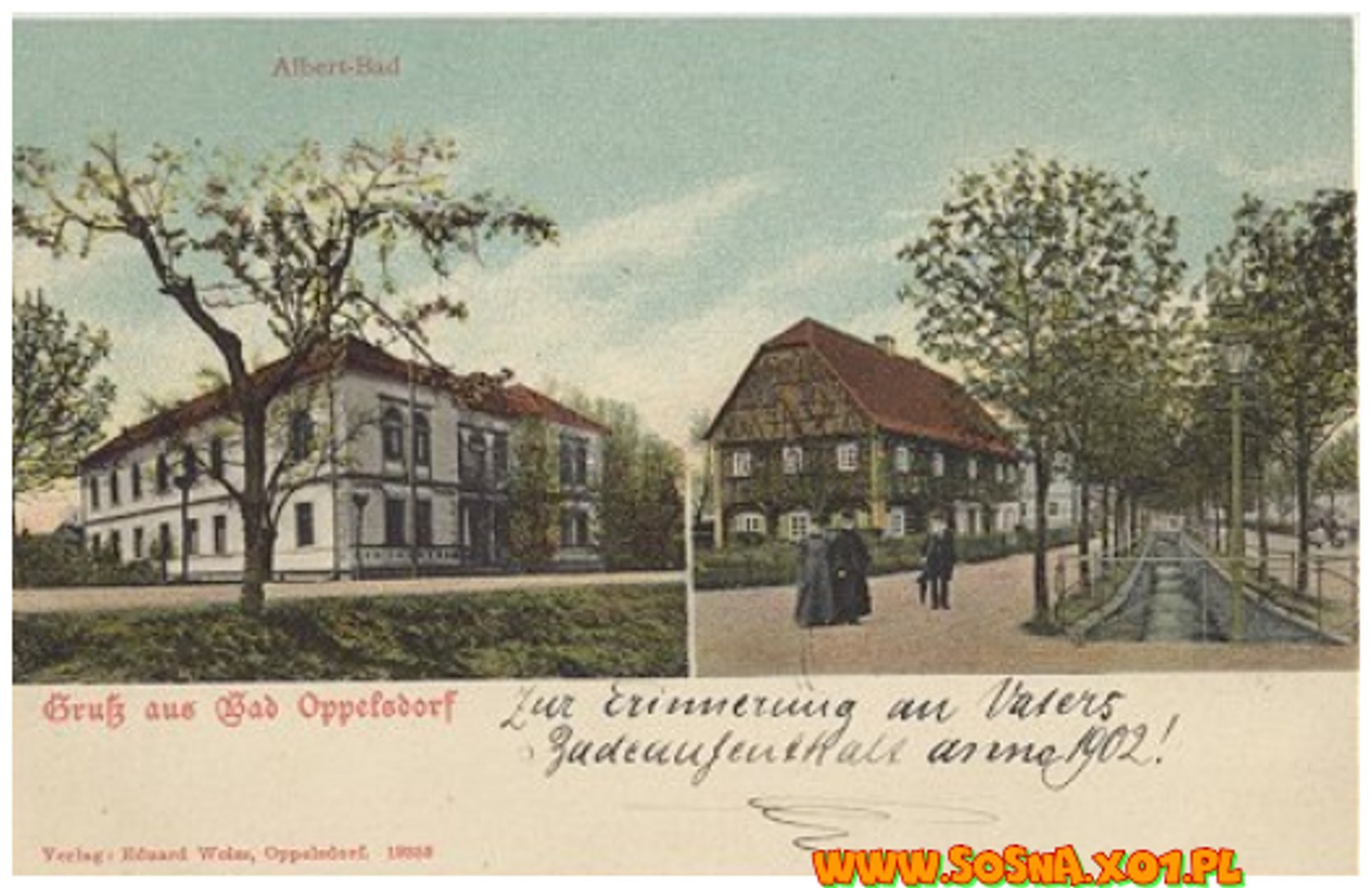 opol39