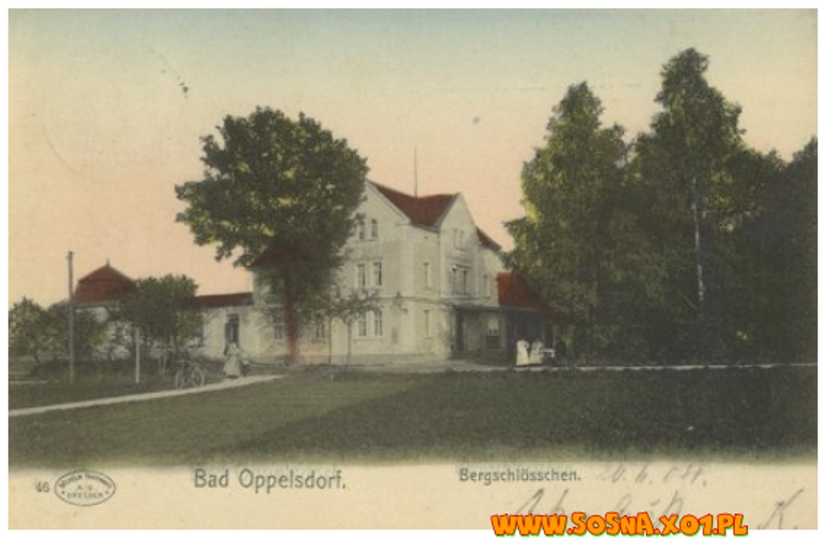 opol40