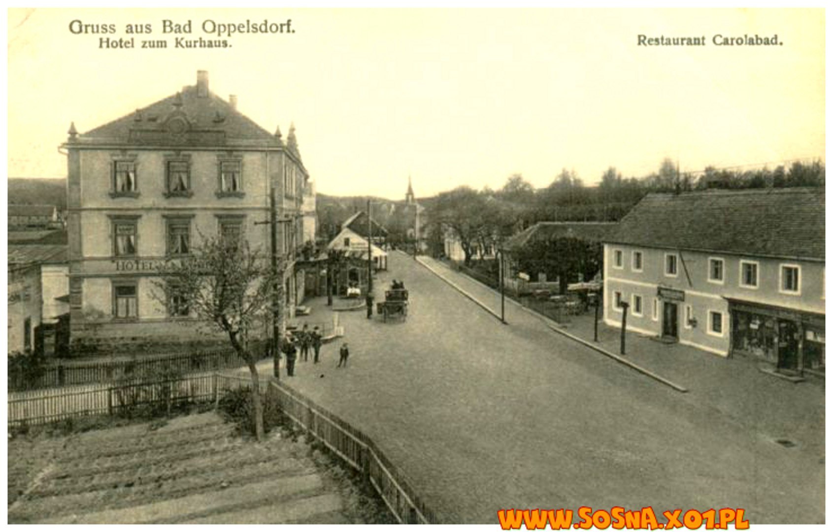 opol55