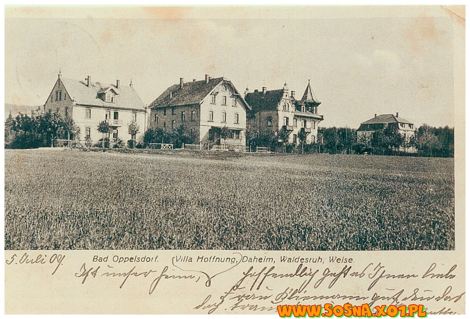 opol6
