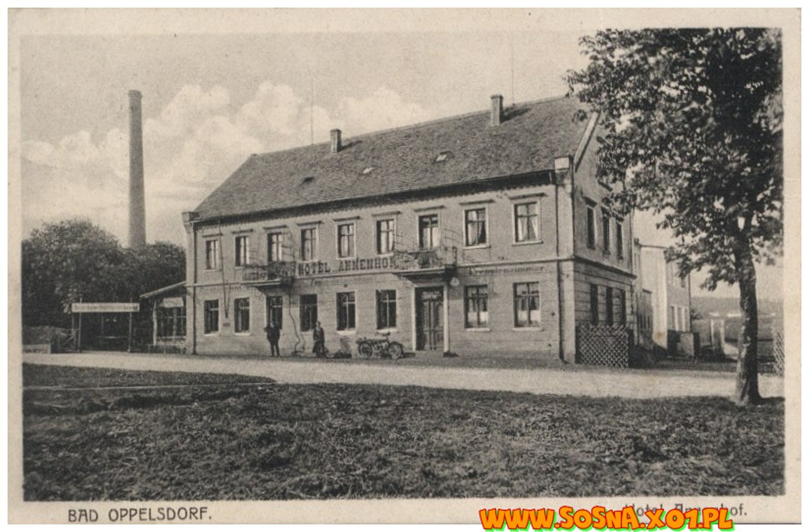 opol62