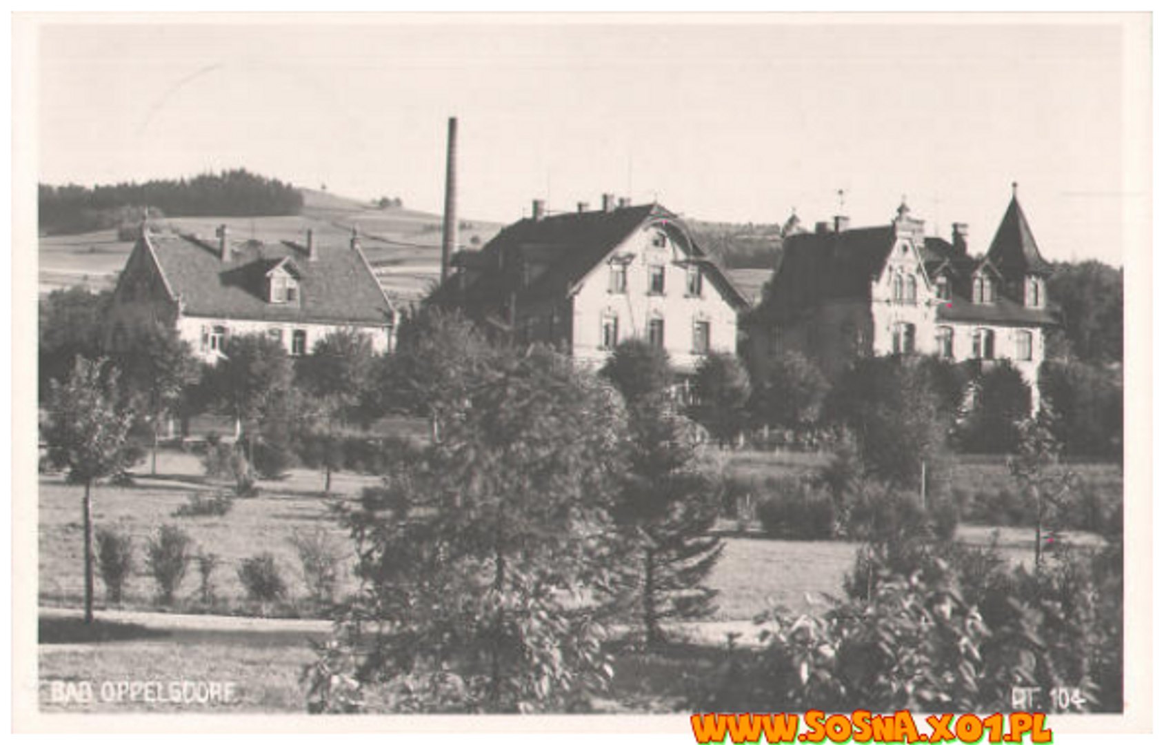 opol65