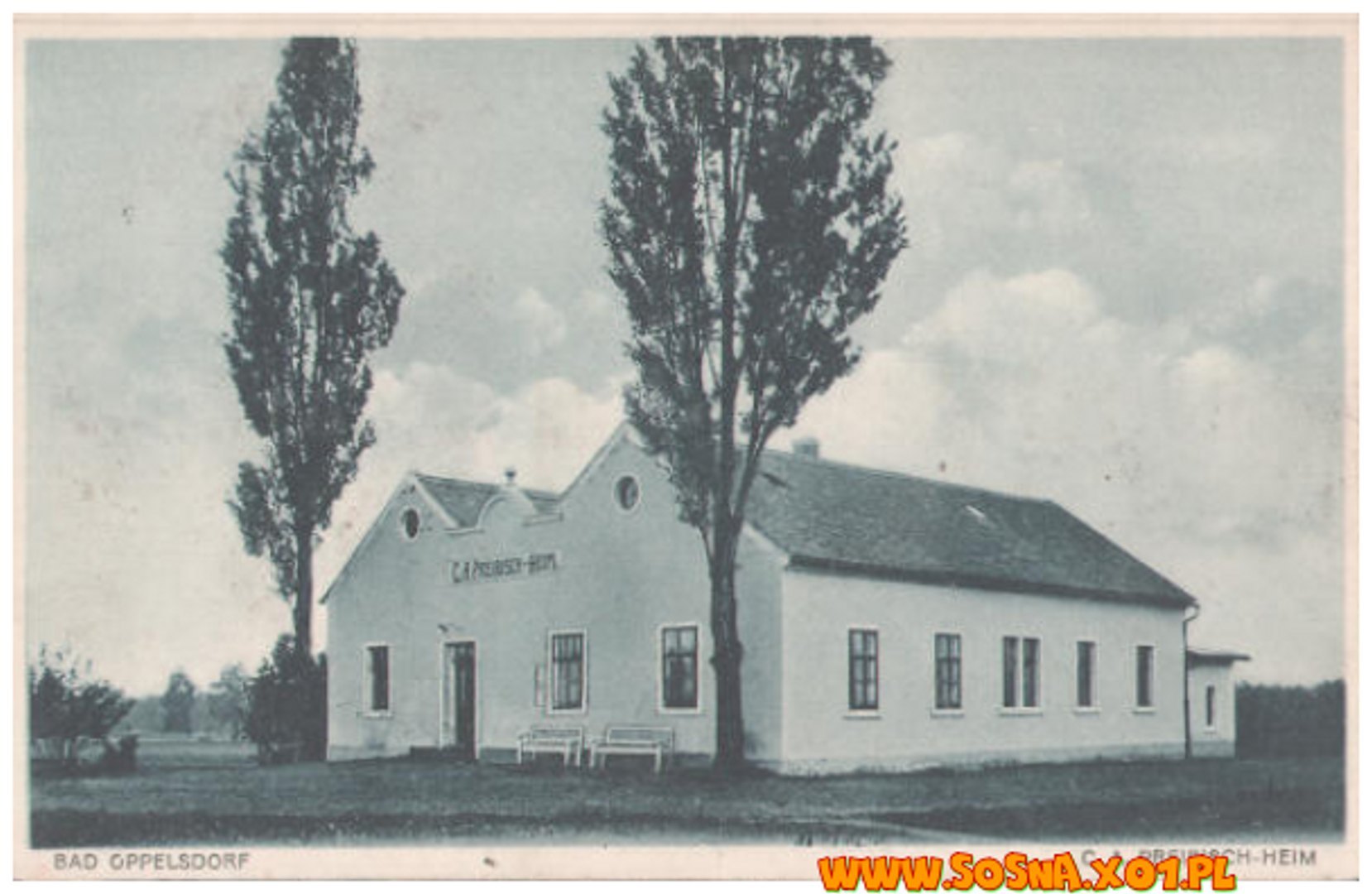 opol66