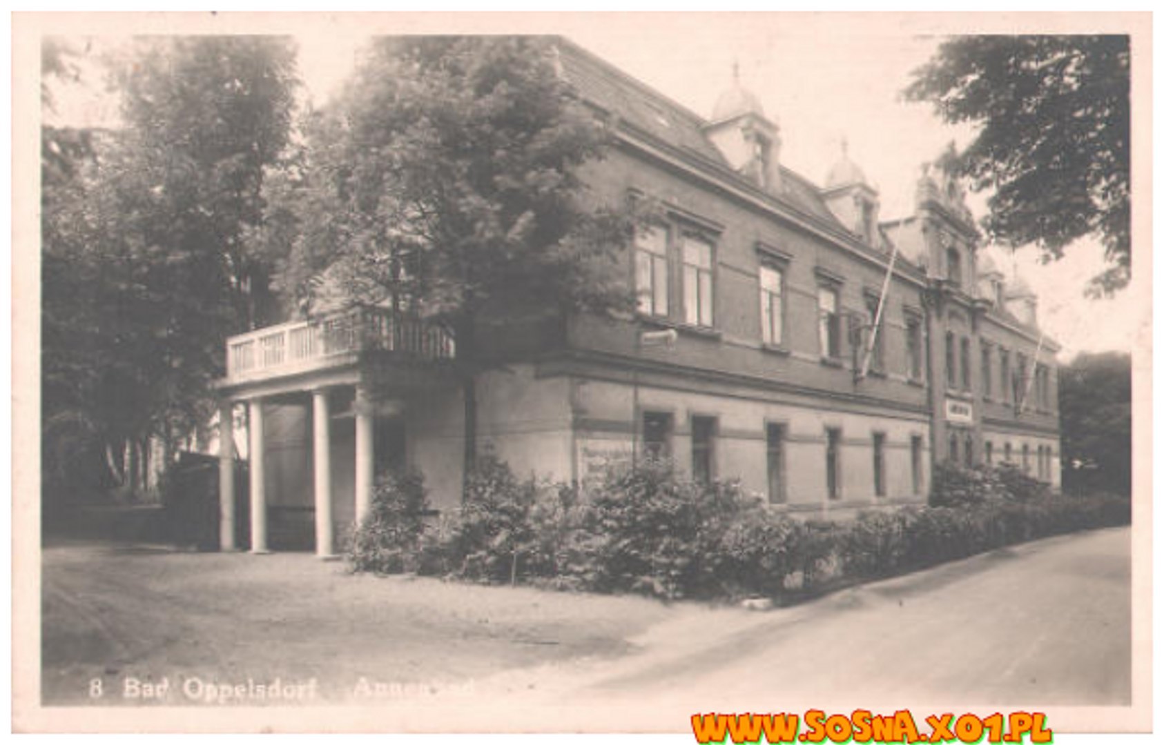 opol67