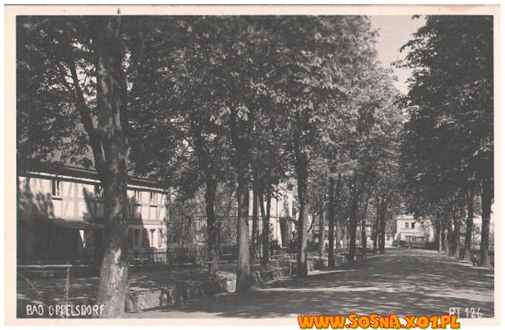 opol73