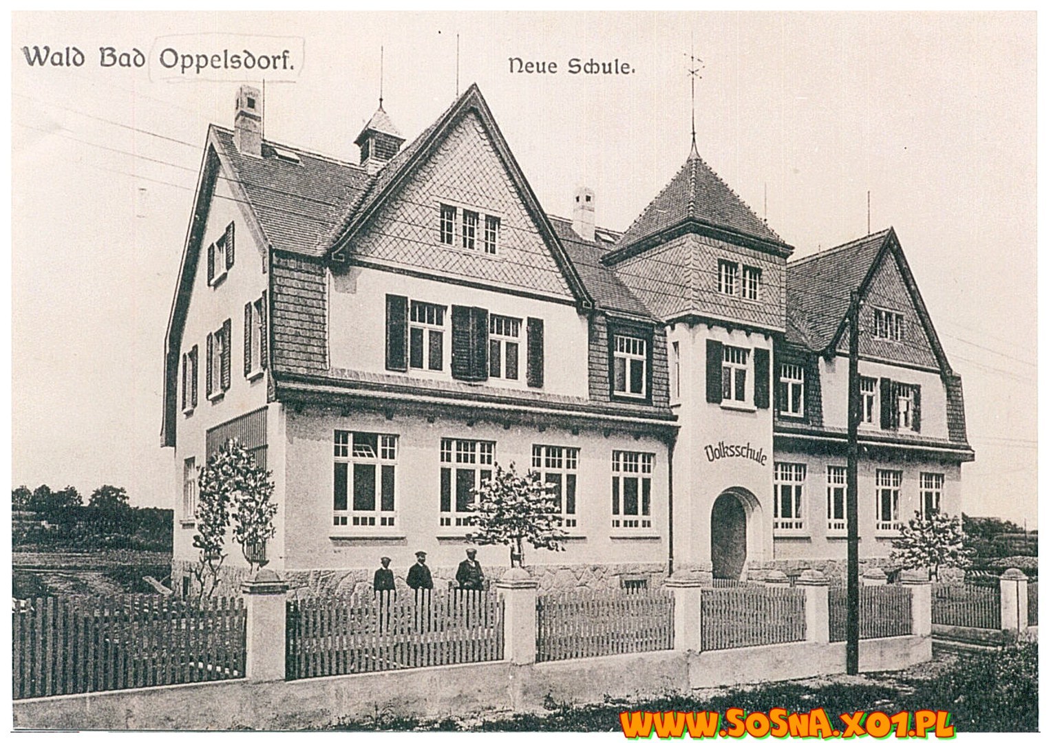 opol8