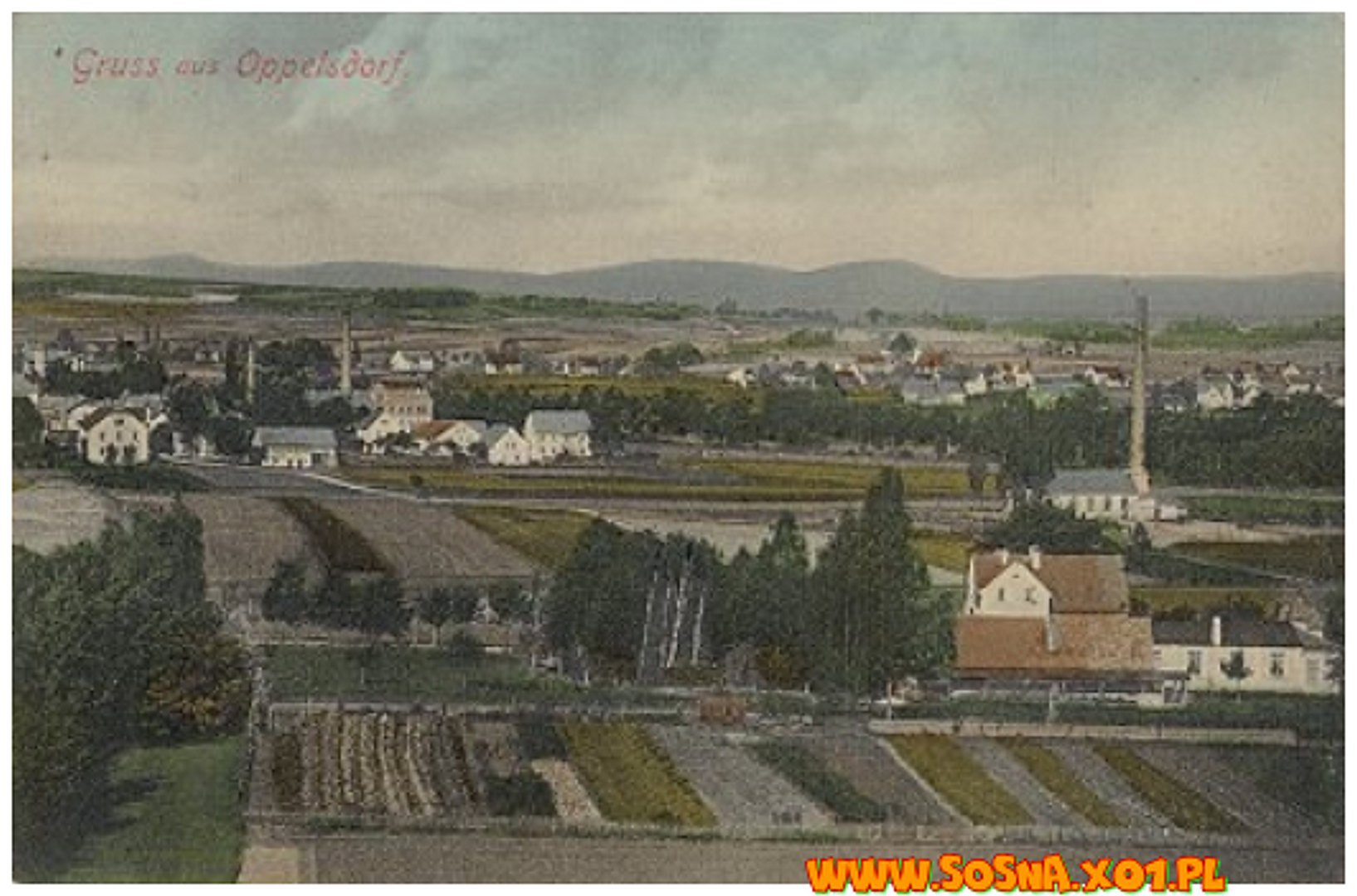opol80