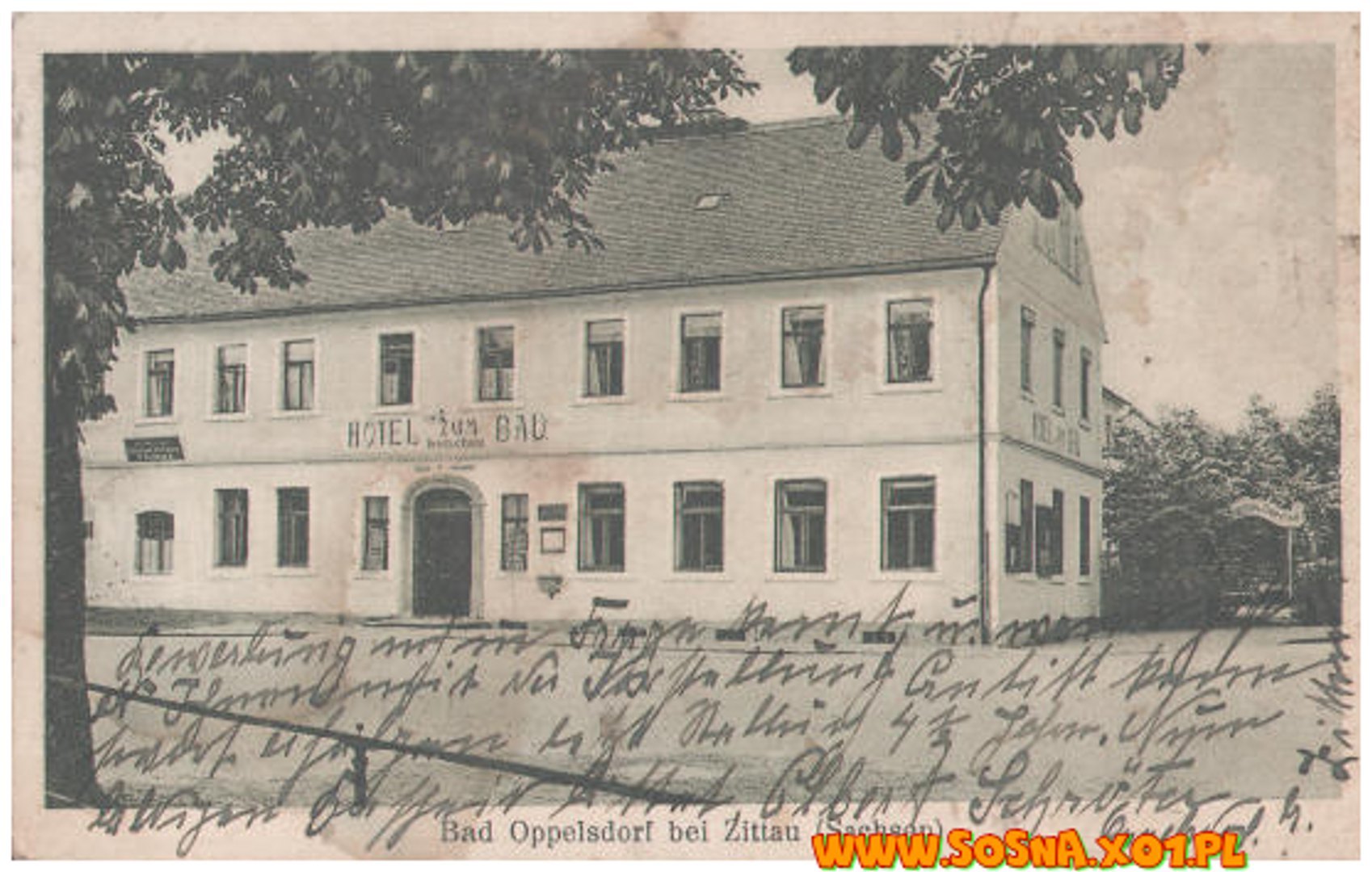 opol82