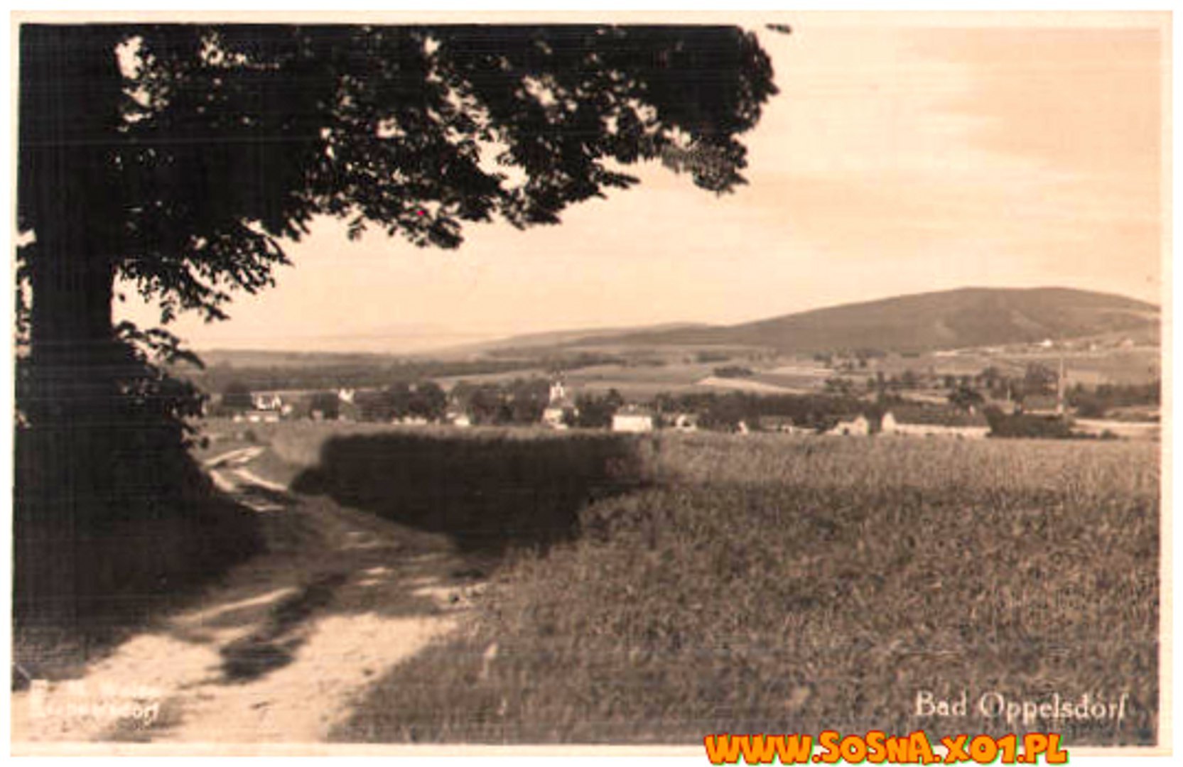 opol83
