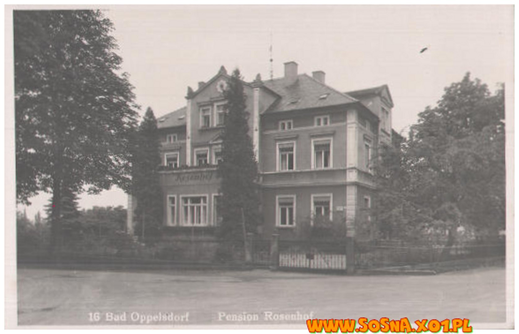 opol84