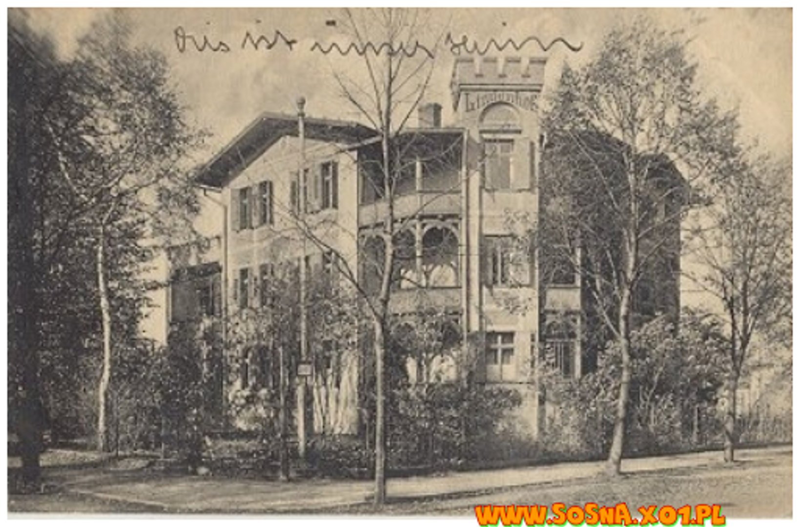 opol86