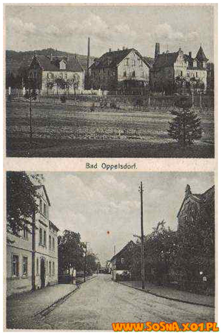 opol96