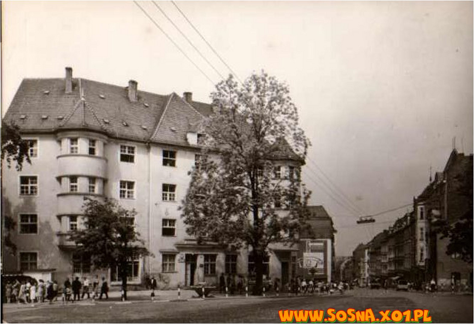 zgor13