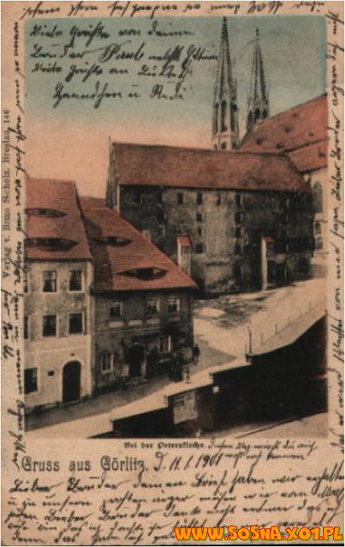 zgor19