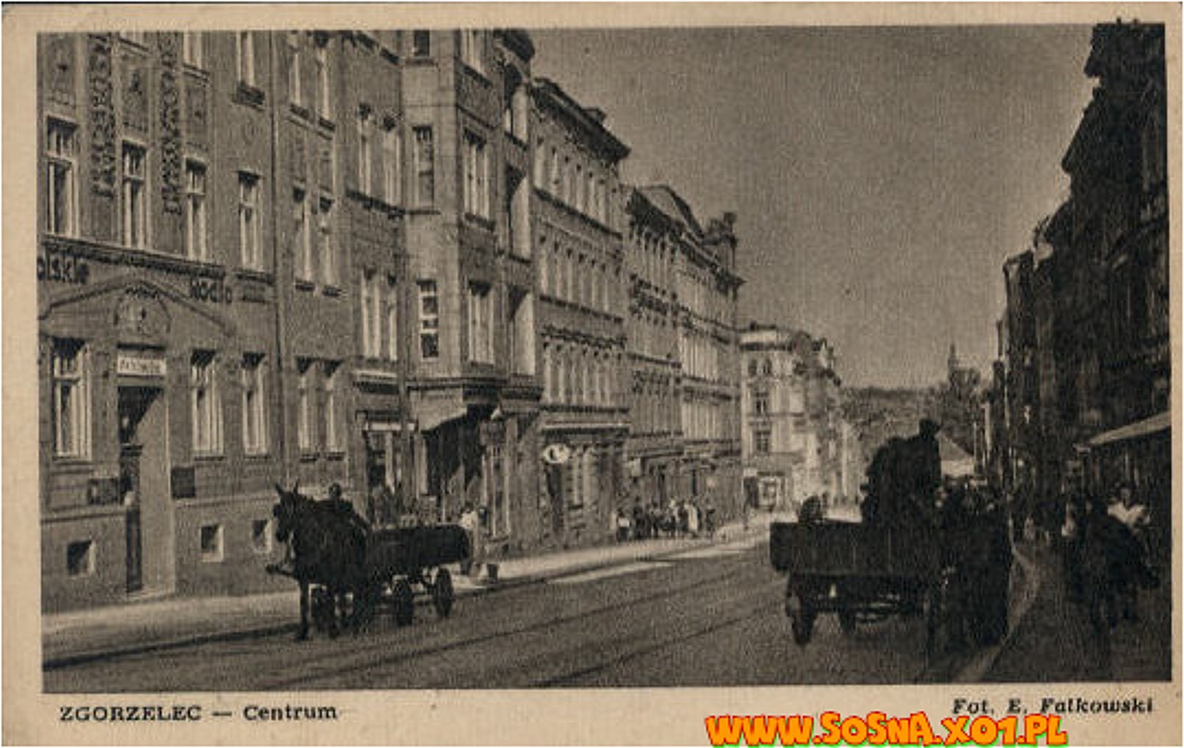 zgor20